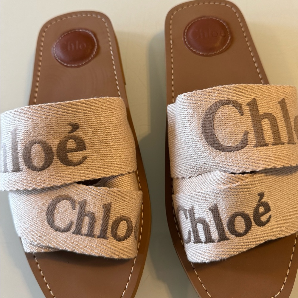 CHLOE WOODY sandals in blush beige, size 7